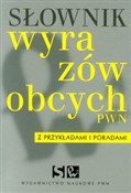 Słownik wy... - Lidia Drabik -  polnische Bücher