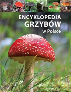 Bild von Encyklopedia grzybów w Polsce