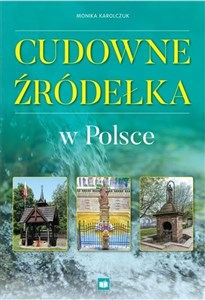 Obrazek Cudowne źródełka w Polsce