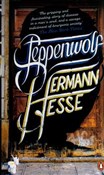 Steppenwol... - Hermann Hesse -  polnische Bücher
