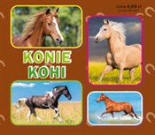Polska książka : Konie. Кон... - Opracowanie Zbiorowe