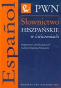 Słownictwo... - Małgorzata Cybulska-Janczew, Izabela Fabjańska-Potapczuk - buch auf polnisch 