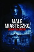 Polska książka : Małe miast... - Adam Zalewski