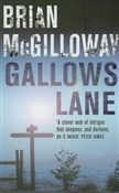 Polnische buch : Gallows La... - Brian McGilloway