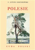 Polesie - Antoni Ferdynand Ossendowski -  Książka z wysyłką do Niemiec 