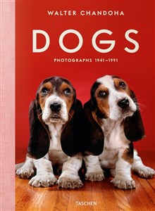 Obrazek Walter Chandoha Dogs Photographs 1941-1991