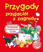 Polnische buch : Przygody p... - Patrycja Zarawska