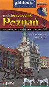 Poznań - Rafał Fronia - buch auf polnisch 