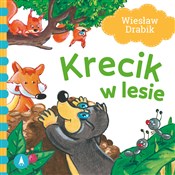 Krecik w l... - Wiesław Drabik, Agata Nowak -  fremdsprachige bücher polnisch 