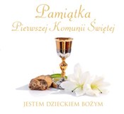 Polnische buch : Pamiątka P... - Joanna Jaskuła, Anna Idaszak
