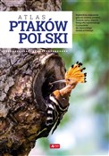 Atlas ptak... - Anna Przybyłowicz, Łukasz Przybyłowicz - buch auf polnisch 