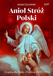 Bild von Anioł Stróż Orędzia dla Polski i Polaków 2009-2014