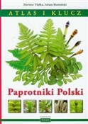 Paprotniki... - Dariusz Tlałka, Adam Rostański -  fremdsprachige bücher polnisch 