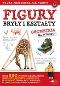 Polska książka : Figury, br... - Opracowanie Zbiorowe