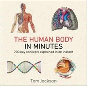 Bild von The Human Body in Minutes