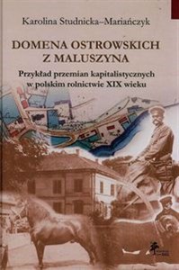Obrazek Domena Ostrowskich z Maluszyna Przykład przemian kapitalistycznych w polskim rolnictwie XIX wieku
