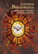 Katechizm ... - Łukasz Michalski -  polnische Bücher