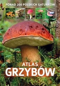 Bild von Atlas grzybów