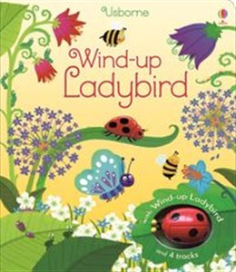 Bild von Wind-up Ladybird