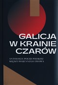 Polska książka : Galicja w ... - Katarzyna Sadkowska