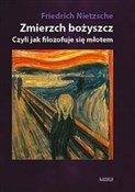 Polska książka : Zmierzch b... - Friedrich Wilhelm Nietzsche
