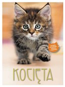 Kocięta - Bettina Stockfleth -  Książka z wysyłką do Niemiec 