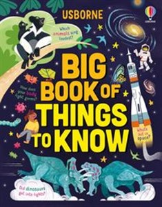Bild von Big Book of Things to Know