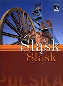 Śląsk - Łukasz Gaweł -  polnische Bücher