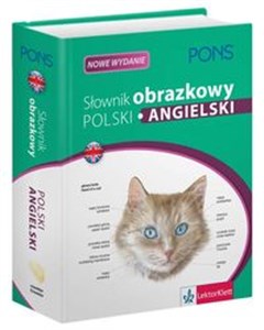 Bild von Słownik obrazkowy Polski Angielski