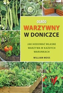 Bild von Ogród warzywny w doniczce Jak hodować własne warzywa w każdych warunkach