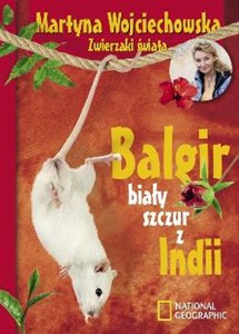 Bild von Balgir, biały szczur z Indii
