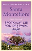 Spotkamy s... - Santa Montefiore -  fremdsprachige bücher polnisch 