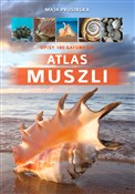 Atlas musz... - Maja Prusińska -  polnische Bücher