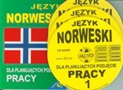 Polska książka : Język norw...