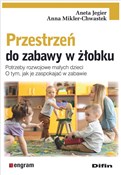 Polska książka : Przestrzeń... - Aneta Jegier, Anna Mikler-Chwastek