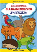 Polnische buch : Kolorowank... - Patrycja Nowacka