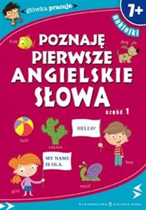 Bild von Główka pracuje Poznaję pierwsze angielskie słowa cz. 1