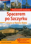 Spacerem p... - Krzysztof Grabowski -  fremdsprachige bücher polnisch 