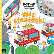 Polska książka : Wóz straża... - Grażyna Wasilewicz