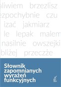 Słownik za... - red. Radosław Pawelec -  polnische Bücher