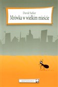 Polnische buch : Mrówka w w... - David Safier