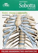 Anatomia S... - Lars Brauer - Ksiegarnia w niemczech