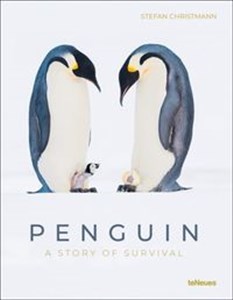 Obrazek Penguin A Story of Survival