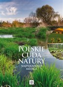 Książka : Polskie cu... - Michał Duława