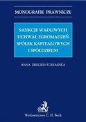 Polska książka : Sankcje wa... - Anna Zbiegień-Turzańska