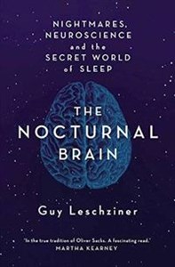 Bild von Nocturnal Brain
