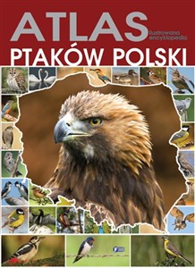 Obrazek Atlas ptaków Polski ilustrowana encyklopedia