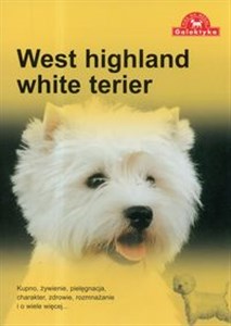 Bild von West highland white terier