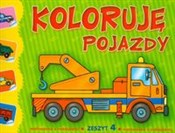 Koloruję p... - Ilona Brydak, Joanna Holeksa-Szłapa - buch auf polnisch 