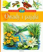 Polska książka : Owady i pa... - Aleksandra Stańczewska